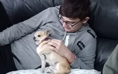 Mojo
