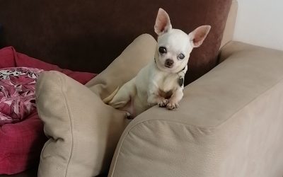 Maggie