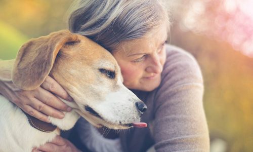 Dediche e messaggi d'addio per ricordare il proprio PET - GoodBau