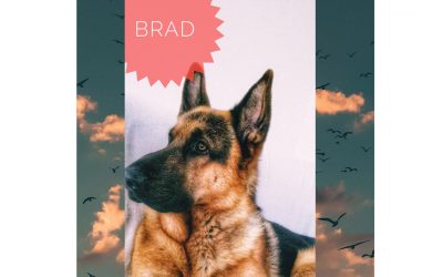 BRAD