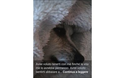 CHICO