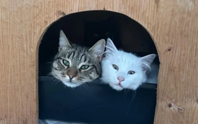 Gigi e Bernardetta