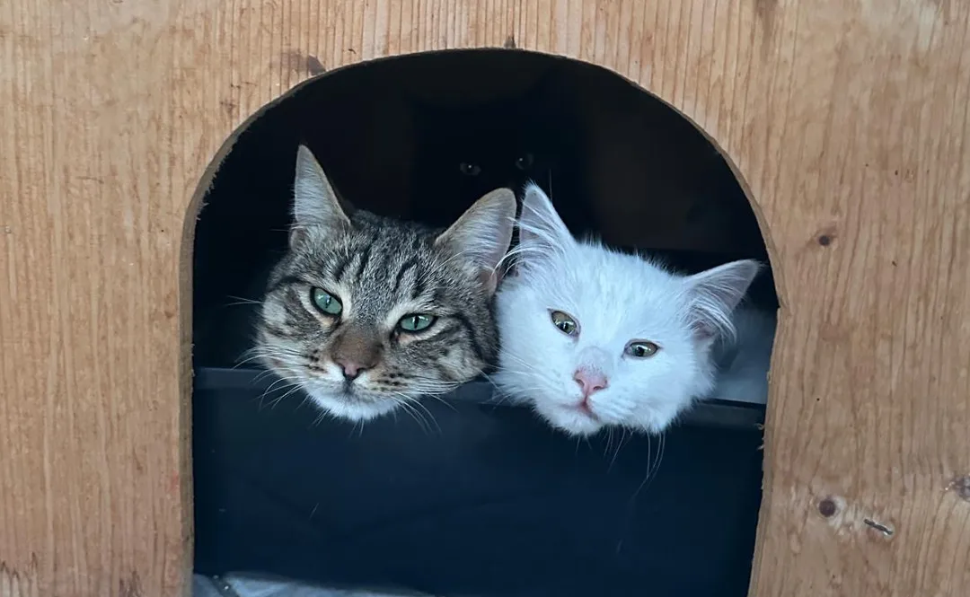 Gigi e Bernardetta
