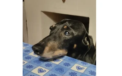 Nina