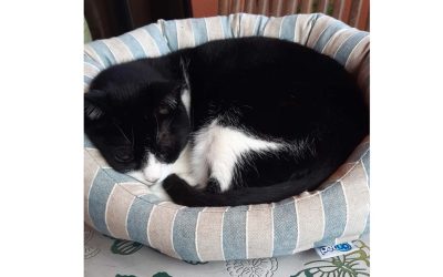Leo