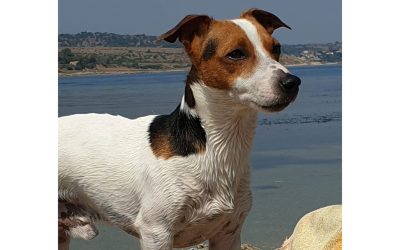 Paco