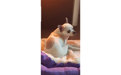 Matilde
