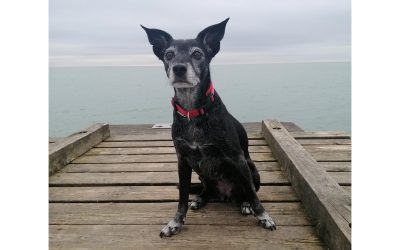 Mika