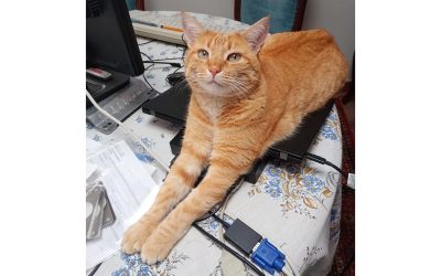 Theodore